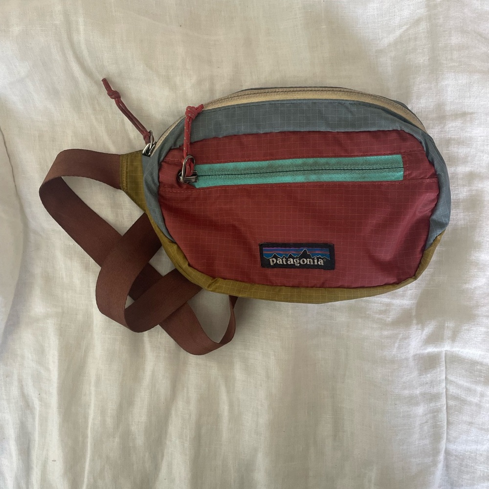Patagonia Mini Hip Pack
